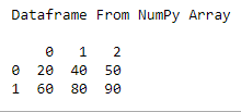 Python Pandas Dataframe From Numpy Array